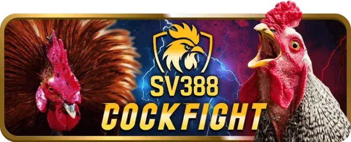 Ưu Đãi Hấp Dẫn 88aa