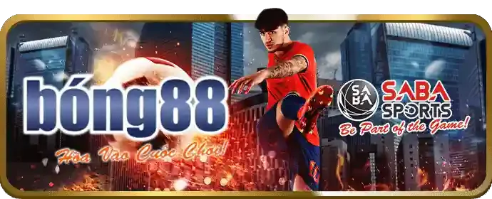 Thông báo về giải đấu thể thao lớn sắp tới